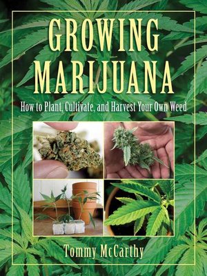 cover image of Growing Marijuana: How to Plant, Cultivate, and Harvest Your Own Weed
